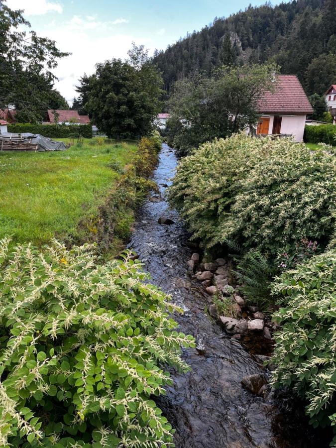 Les Ateliers Villa Gerardmer Ngoại thất bức ảnh